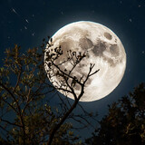 full moon over sky, moon, moon at night, moon at noon, beautifull moon background