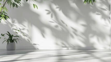 Sticker - Simple background with blurred foliage shadow on a white wall and smooth flooring. Great for presentations.