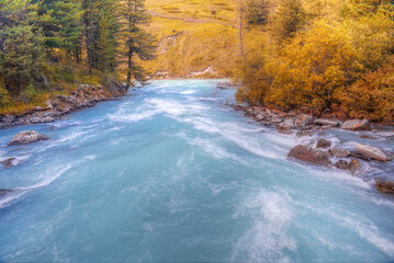 Wall Mural - Beautiful water in a mountain river.