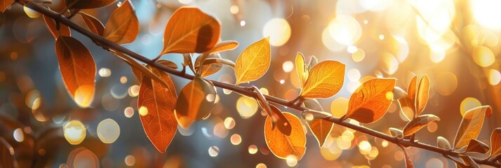 Poster - Amazing Nature Sunlit Leaves with Bokeh Effect at Sunset