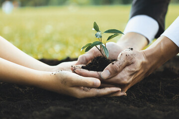 Wall Mural - Businessman grow and nurture plant on fertilized soil with young boy as eco company committed to corporate social responsible, reduce CO2 emission and embrace ESG principle for sustainable future.Gyre