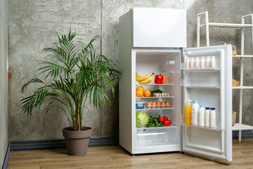 White Refrigerator With Open Door Showing Food Inside, Grey Concrete Wall, Wooden Floor, and Plant