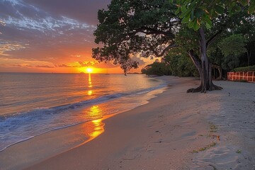 Wall Mural - Sunset over a Tropical Beach with a Palm Tree