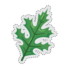 Wall Mural - leaf autumn sticker icon vector