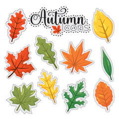 Wall Mural - autumn leaves stickers icons set vector