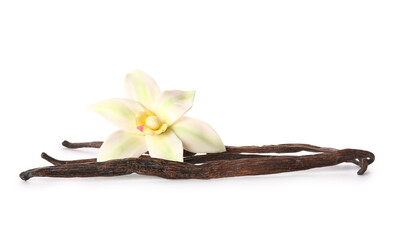 Poster - Beautiful vanilla flower and sticks on white background