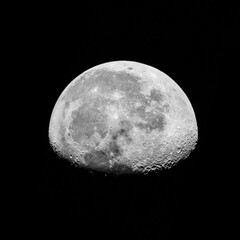 Wall Mural - first half moon of the month because the moon appears half illuminated as seen from earth