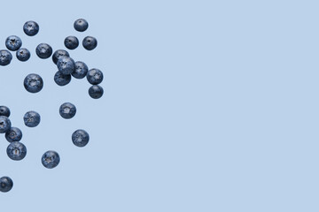 Wall Mural - Flying fresh blueberries on blue background