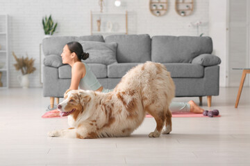 Wall Mural - Young woman with Australian Shepherd dog stretching in living room