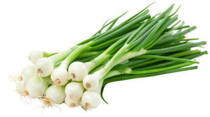 Young green onion on transparent background