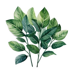 Wall Mural - A green leafy plant with a bunch of leaves