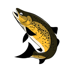 Wall Mural - Brown Trout vector jump out of water,  Perfect for your Fishing activities