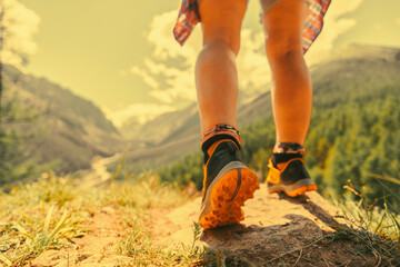 Wall Mural - hiking in the mountains, close up 