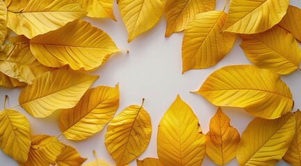 Sticker - autumn leaves background