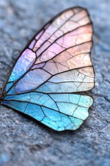 Sticker - Colorful butterfly wing detail