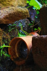 watering can in garden