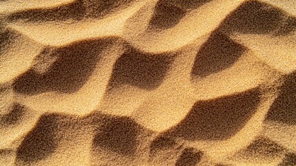 Wall Mural - Texture of sand, beach surface, detailed grains Background