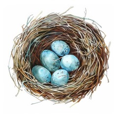 Watercolor painting of a bird's nest with eggs, on isolated white background