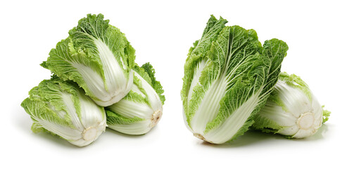 Canvas Print - Chinese cabbage on white background 