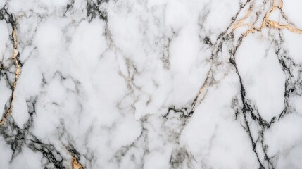 White Marble Surface with Black and Gold Veins