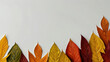 © lovey - autumn fall colorful foliage leaf leaves on white background for customizable negative text space for typography