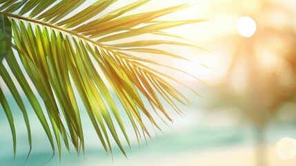 Poster - Blurry green palm leaf on tropical beach with sunlight background for summer vacation concept