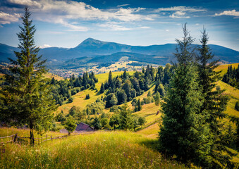 Wall Mural - Sunny summer scene of mountain countryside. Wonderful morning view of Carpathian mountains with Petros peak on background, Ukraine. Misty outdoor scene of mountain village spreads on the green hills.