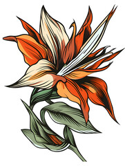 Wall Mural - Bird of Paradise flower traditional tattoo illustration