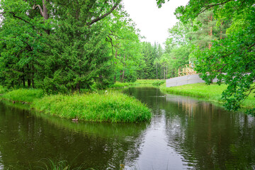 Wall Mural - A tranquil pond nestled within a lush forest, its surface reflecting the surrounding greenery. The pond winds its way through the woods, creating a peaceful and secluded escape.