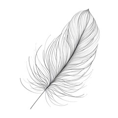 elegant minimal line art featuring a single delicate feather floating gently in mid-air