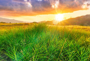 Wall Mural - summer of spring landscape of green grass meadow with great beautiful mountains and awersome golden cloudy sunset.