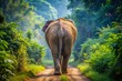 © Jason - wild elephant walk in jungle back view from behind