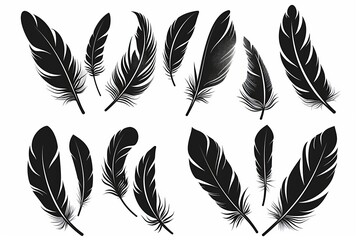 Naklejka na meble Feather icon, animal feathers isolated, black plume symbol, minimal plume silhouette on white