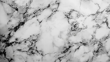 Wall Mural - White Marble Texture with Black Veins.