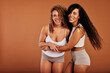 © Flamingo Images - Two laughing women in tank tops and underwear standing on an orange background