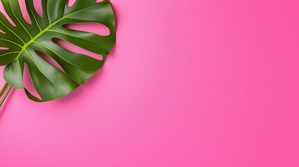 Poster - A pink background with a green leaf on it