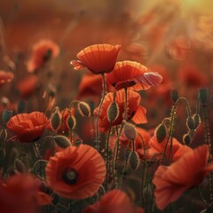 Wall Mural - Create a highly detailed and photorealistic image of a field of poppies, AI Generative