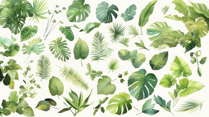 Aufkleber - A variety of tropical leaves in different shapes and shades of green are beautifully arranged on a light backdrop, showcasing nature's diversity