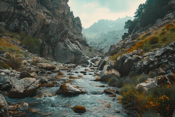 Poster - A serene river flows through a scenic rocky valley surrounded by majestic mountains