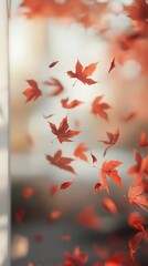 Poster - Autumn maple leaves background, fall backdrop