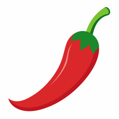 Chili pepper vector vector