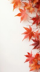 Sticker - Maple leaves on white background, autumn background with copy space.	