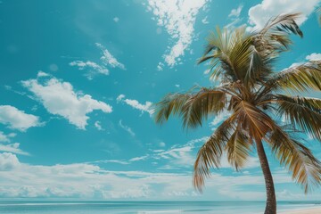 Wall Mural - A palm tree stands tall on a sandy beach with a bright blue sky above