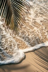 Poster - A palm leaf casts a shadow on the beach