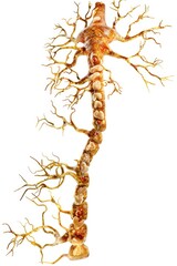 Poster - A creative illustration of a tree shaped like a human brain, great for medical or educational purposes