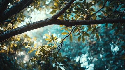 Canvas Print - Close-up of tree branch with leaves