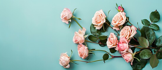 Poster - Arrangement of roses set against a colored background Overhead top view flat lay Copy space Concepts for birthday Mother s Day Valentine s Day Women s Day or Wedding Day