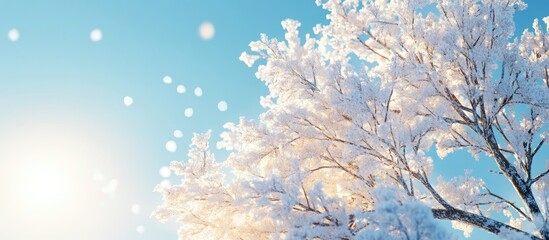 Poster - Snow covered tree against a clear blue sky with sunlight Copy space