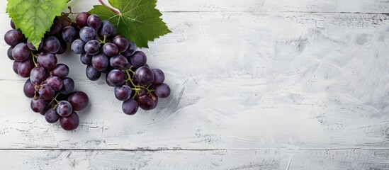 Fresh organic bunch of sweet juicy and healthy grapes on a white wooden board background with copy space