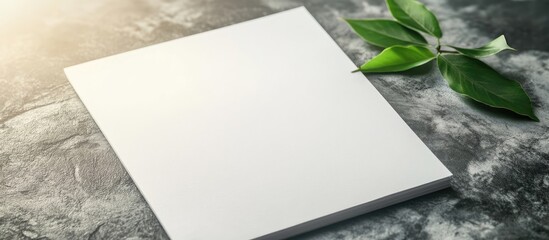 Leinwandbilder - blank sheet of paper and green leaf for notes. with copy space image. Place for adding text or design